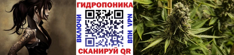 Купить где  Дзержинск  Шишки марихуана SATIVA & INDICA 